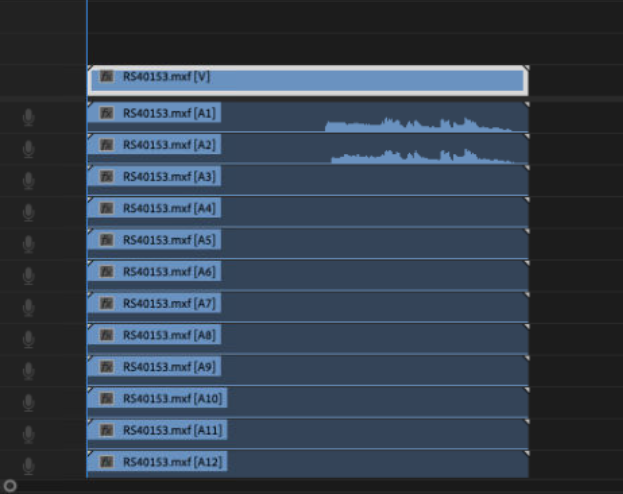 16 Mono In Premiere